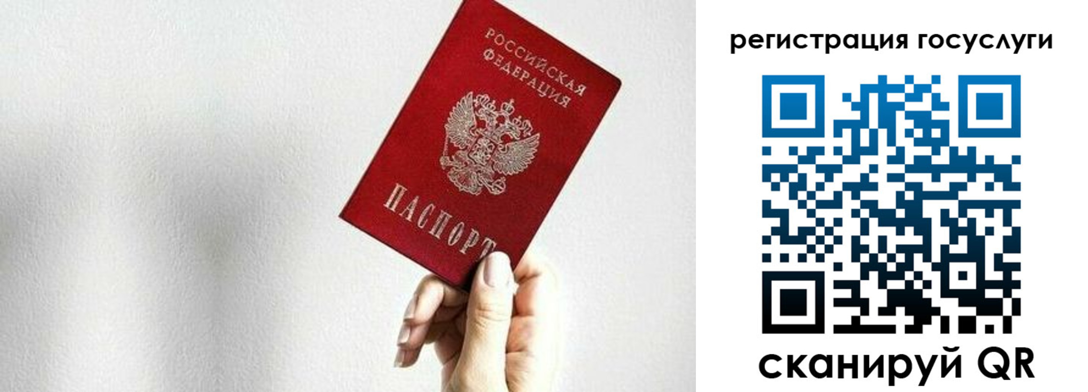 прописка гарантия в Бердске